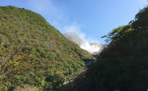 IMG_0083