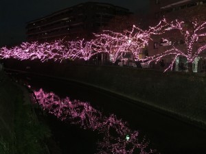 IMG_1977