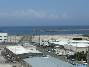 IMG_3126