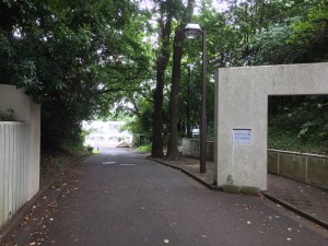 IMG_3271