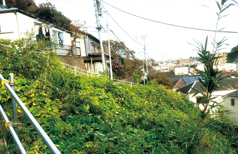 防災工事の認定が決まった六ッ川1丁目の崖地